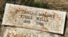 ethelwillsheadstoneridgely_small.jpg